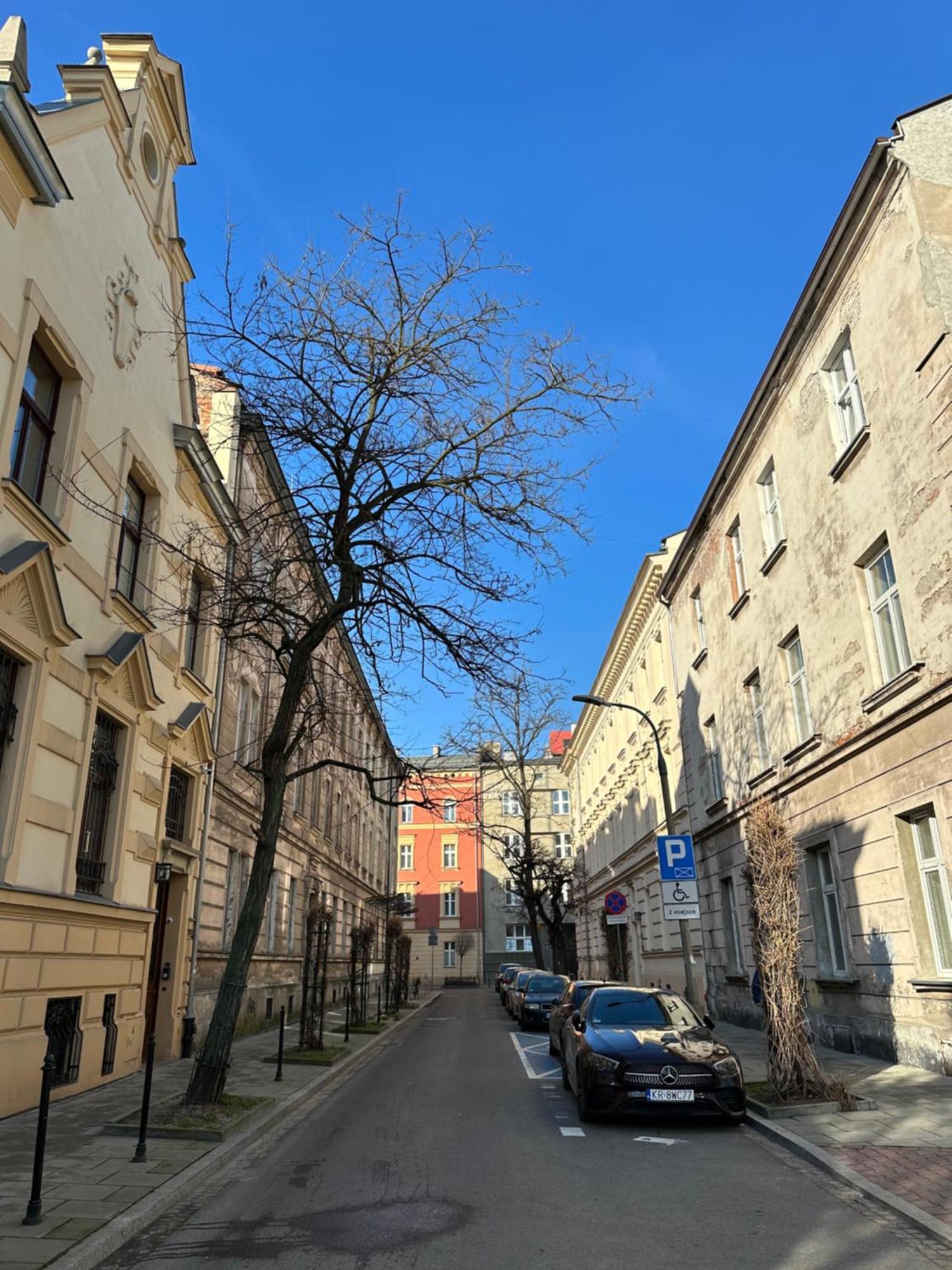 Perfect Place To Stay In Krakow City Center 18M2 W5 Exteriér fotografie